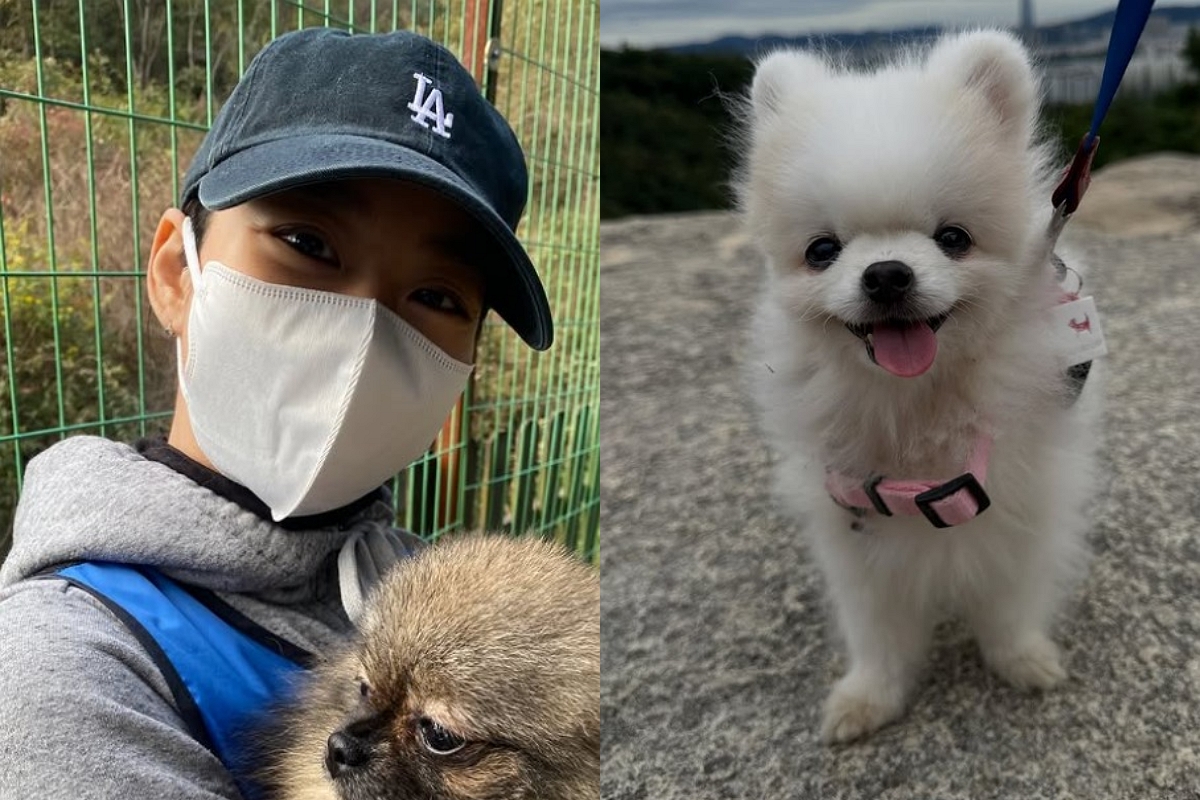 출처: 한승연 SNS
