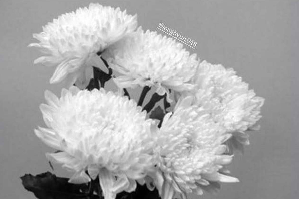 출처: 차현승 SNS