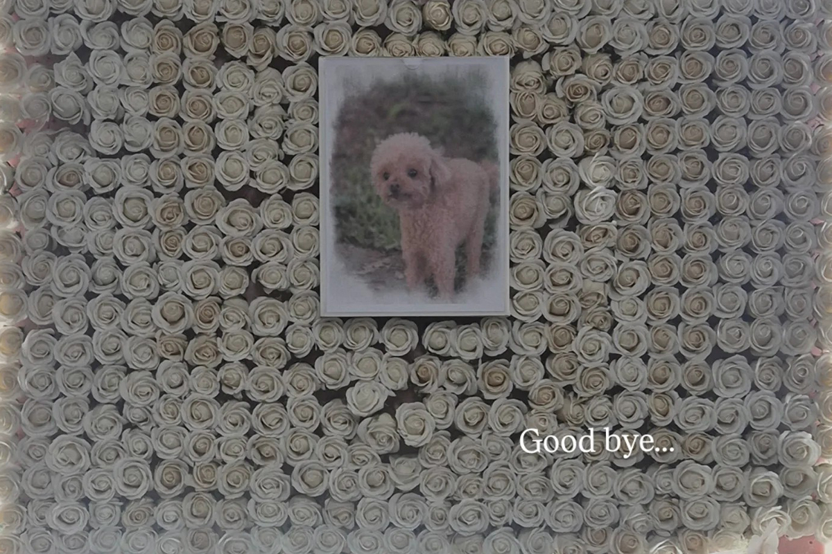 출처 : 홍은희 SNS