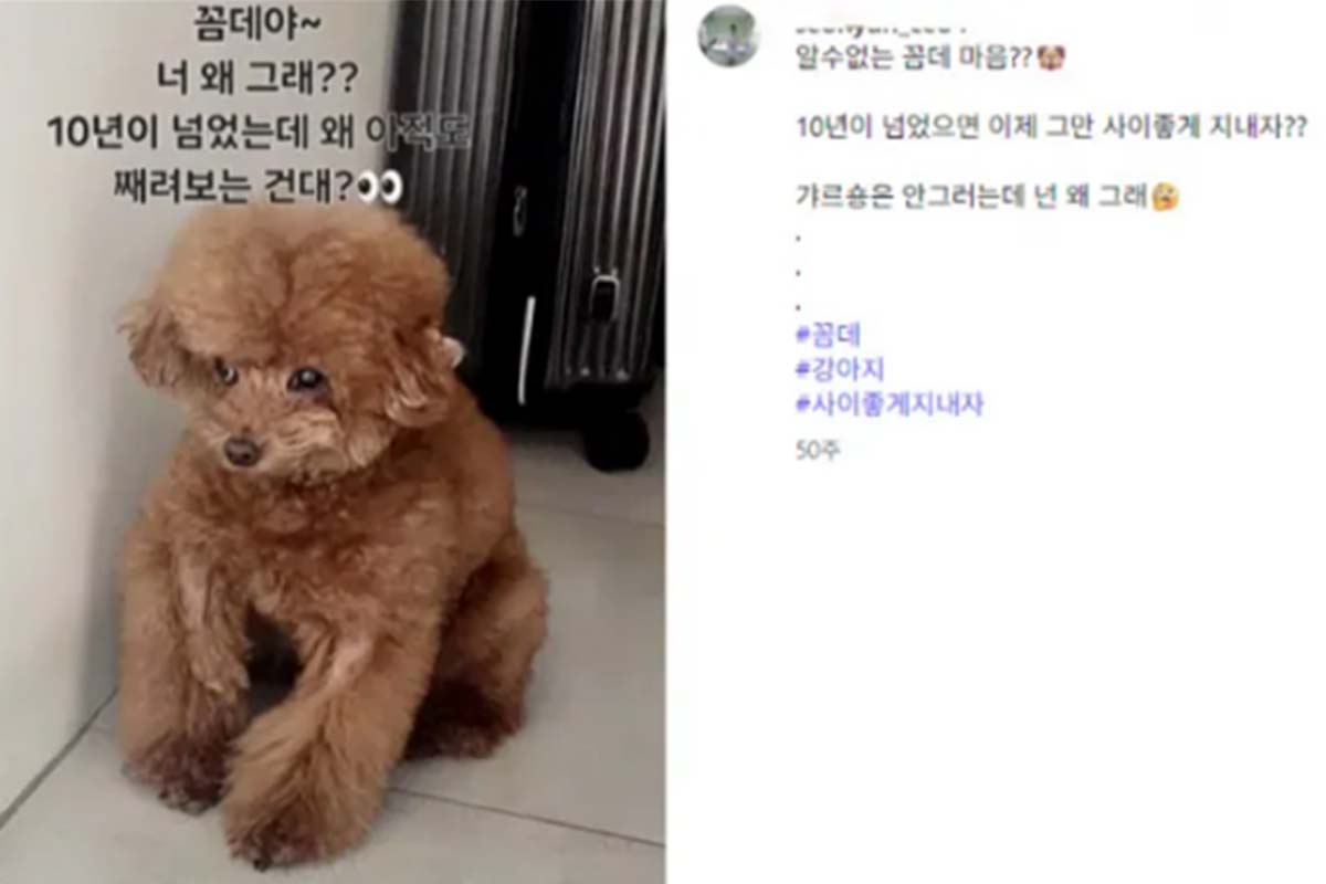 출처: A 씨 SNS
