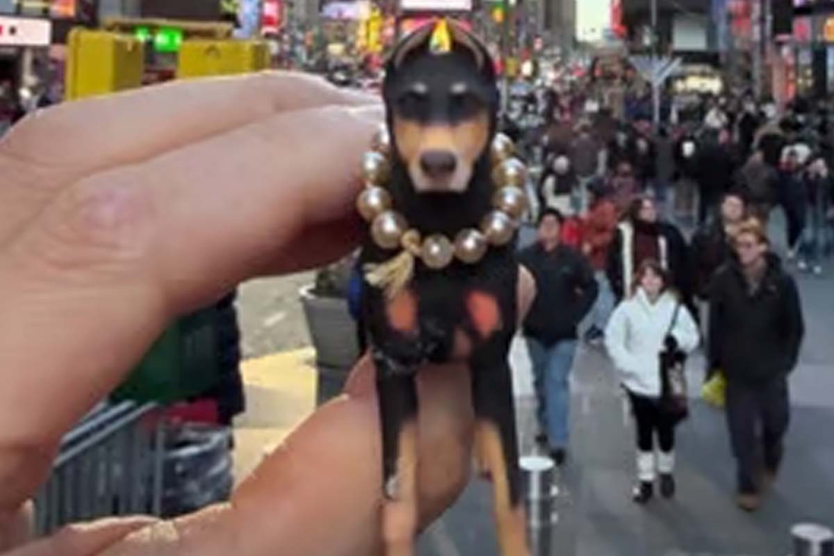 출처: 배정남 SNS