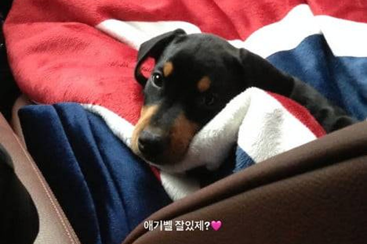 출처 : 배정남 인스타그램