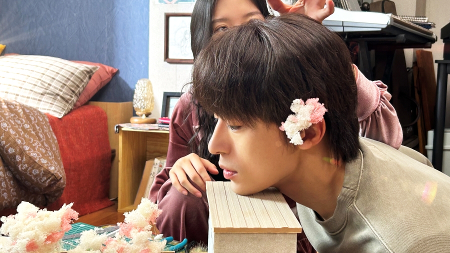 引用:ショーボックス