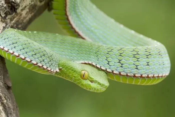  引用：gettyimagesBank*この画像は記事の内容と一切関係ありません