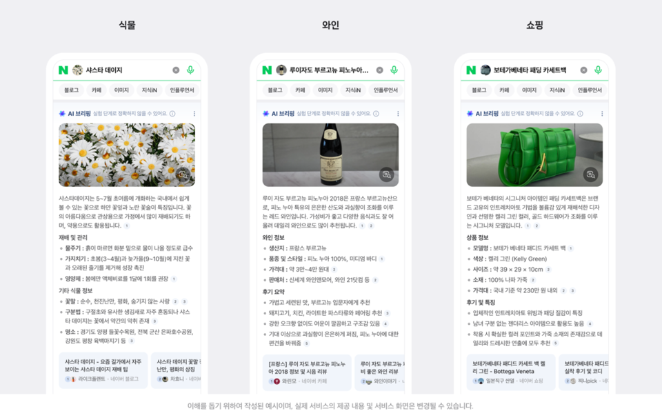 네이버의 AI 검색 서비스 'AI 브리핑'의 예시 화면. 검색 결과를 요약하고 추천 서비스를 제시한다(사진=네이버).