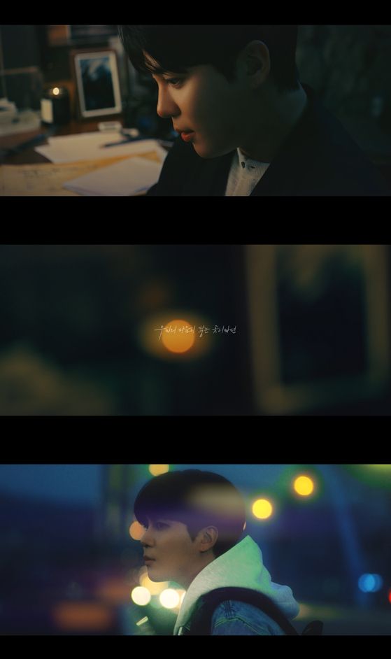 (Credit: Pledis Entertainment)