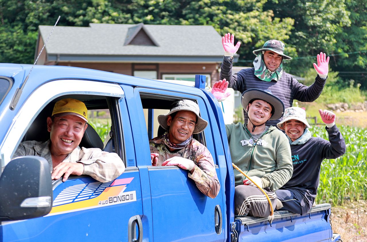 Foreign workers pose for a photo in a cornfield in Goesan-gun, North Chungcheong Province. This photo is not directly related to the story. (Goesan County)
