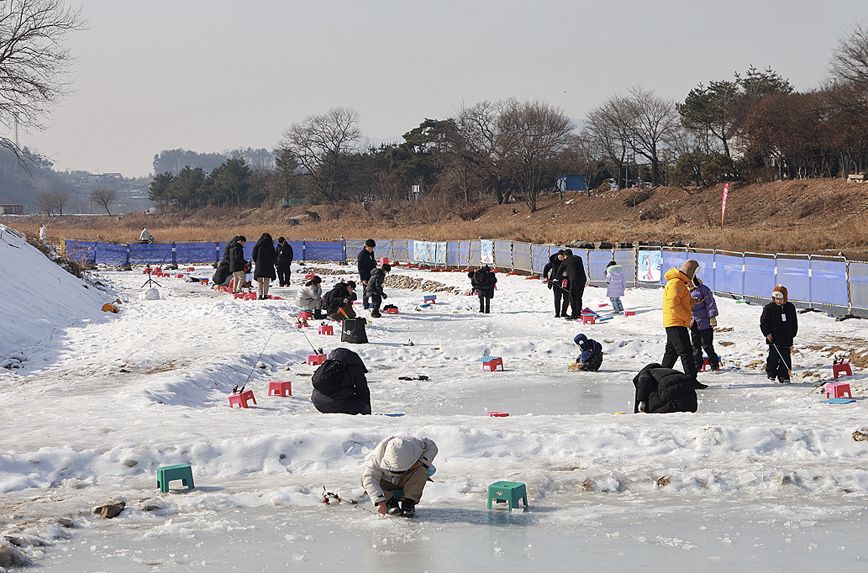 (Yangpyeong Ice Trout Festival)