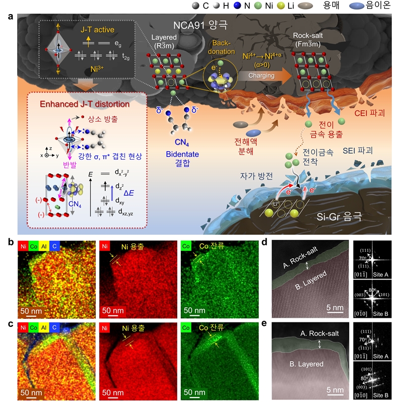 고니켈 양극 표면에서의 CN4 분자와 Ni3+의 리간드 배위 및 양극 구조적 열화 과정에 대한 모식도./ KAIST