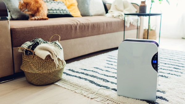 제습기, 겨울에 사용해도 효과적일까? [사진: 셔터스톡]