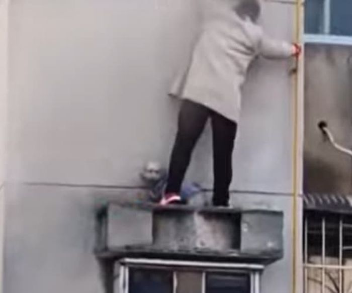 애니멀플래닛