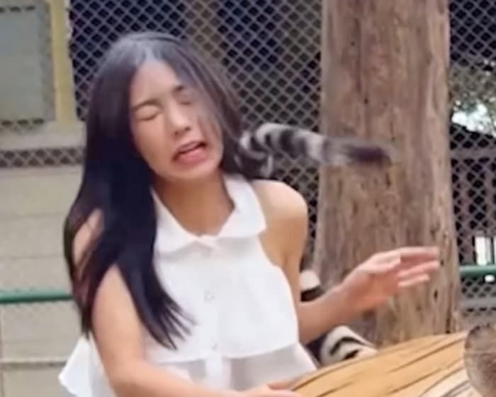 애니멀플래닛