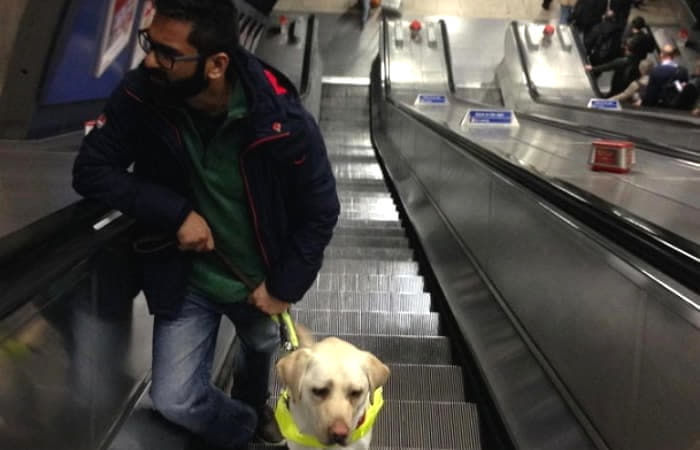 引用:アニマルプラネット