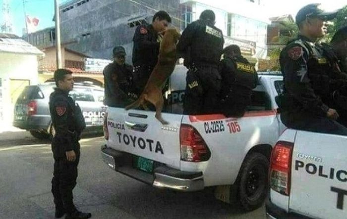 애니멀플래닛