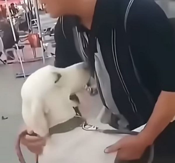 애니멀플래닛