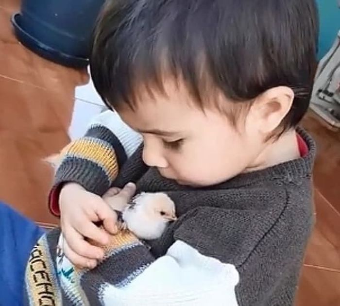 애니멀플래닛