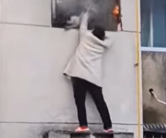 애니멀플래닛