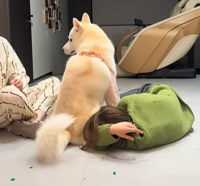 애니멀플래닛