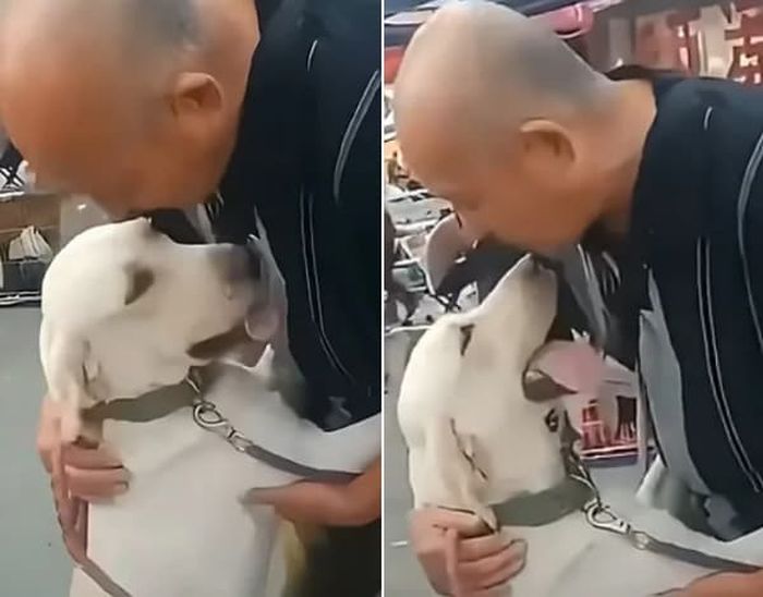 애니멀플래닛