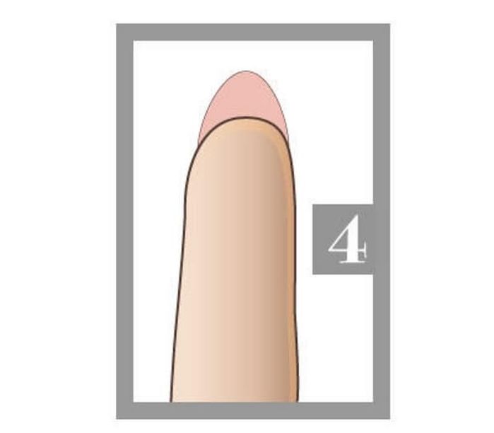 애니멀플래닛
