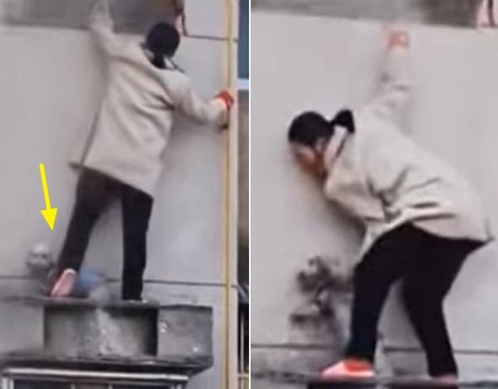 애니멀플래닛