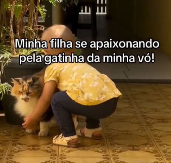 애니멀플래닛