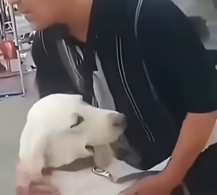 애니멀플래닛