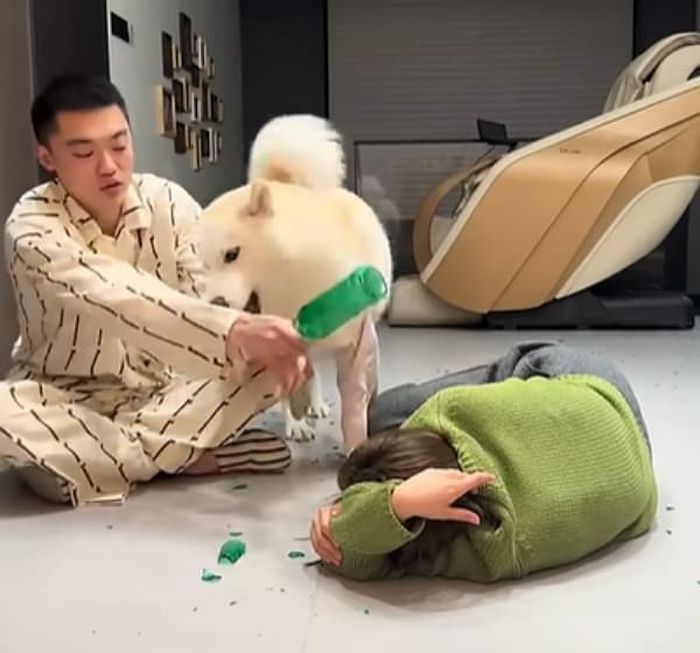 애니멀플래닛