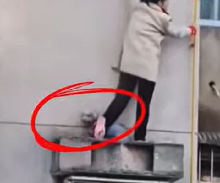 애니멀플래닛