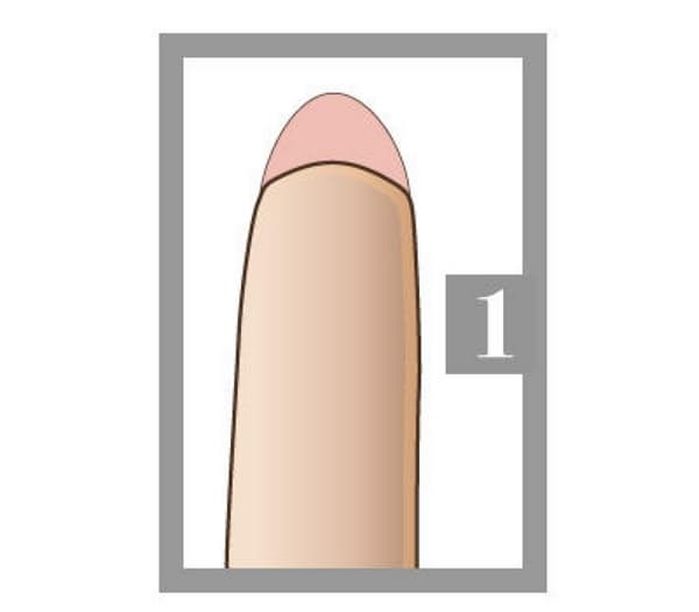 애니멀플래닛