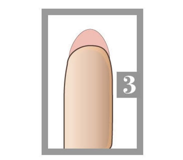 애니멀플래닛