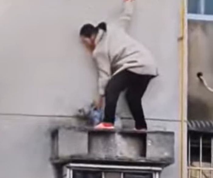 애니멀플래닛