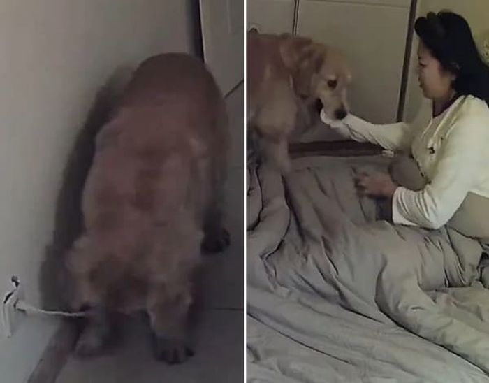 애니멀플래닛