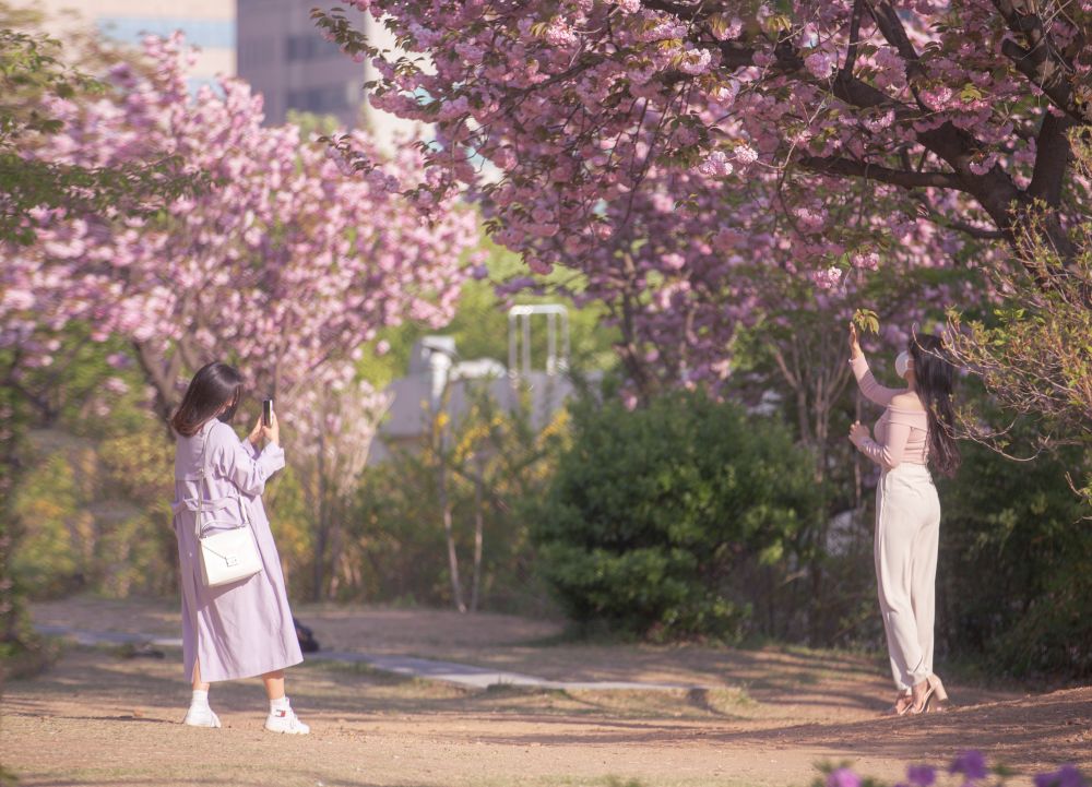 보라매공원