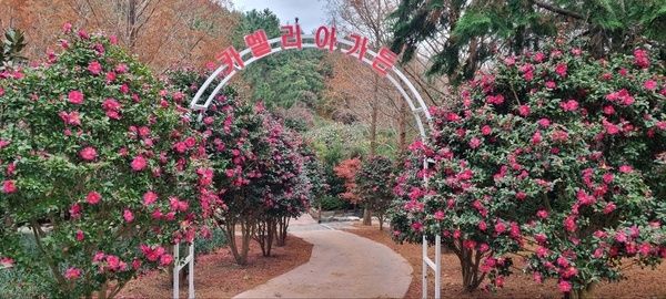 사진=신안군
