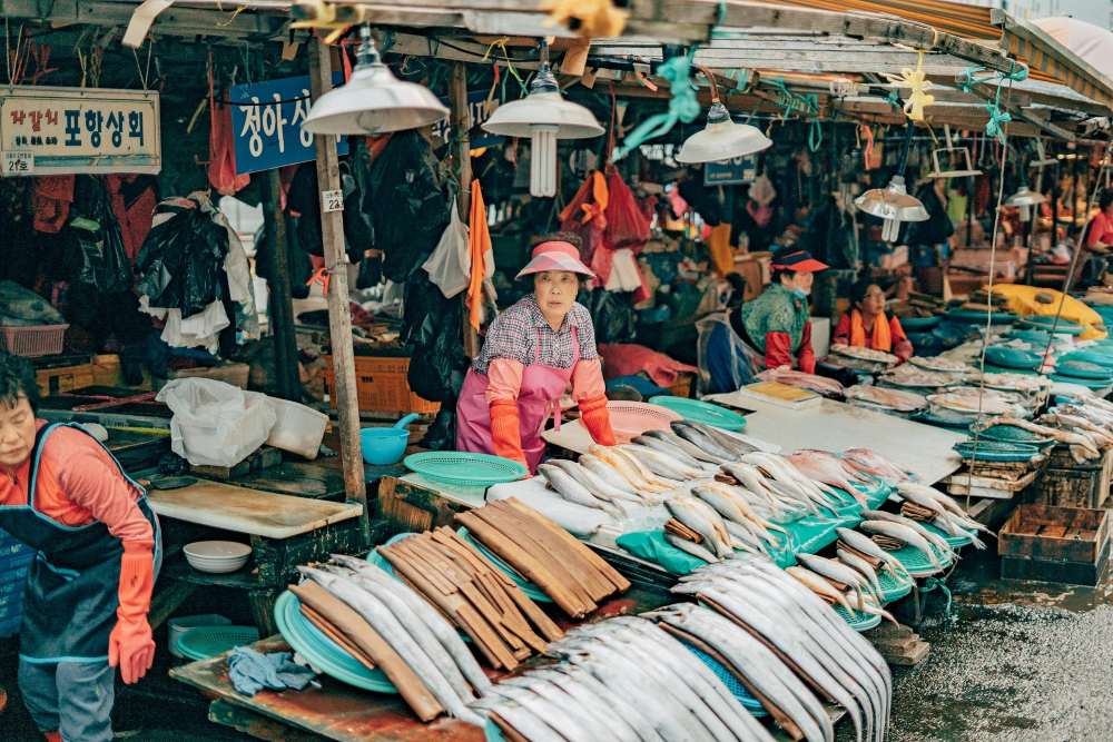신선한 해산물을 파는 시장 / 사진=unsplash@Daniel Bernard