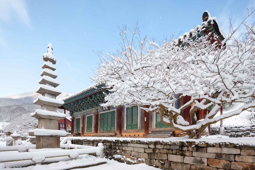 천년고찰 선운사