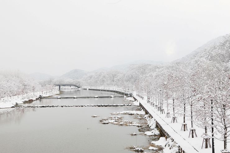 관방제림 설경 / 사진=전라남도 담양군 공식블로그