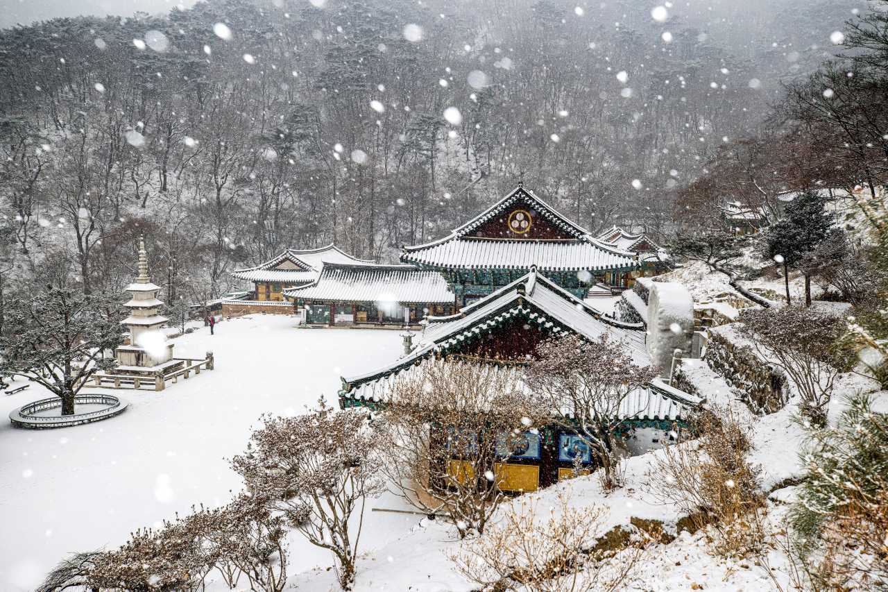 양평 용문산
