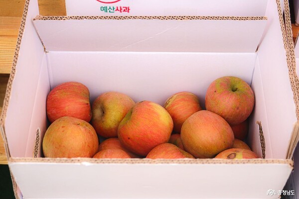 예산사과