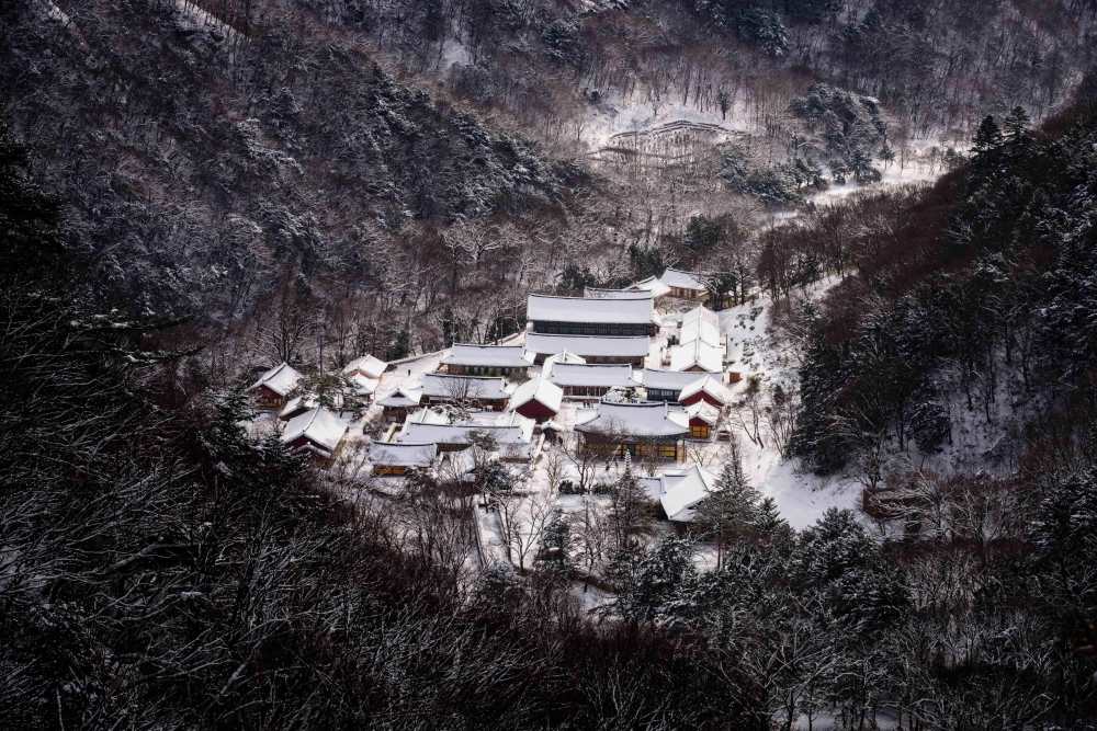 겨울 방문 꿀팁 / 사진=한국관광공사 포토코리아@송정원