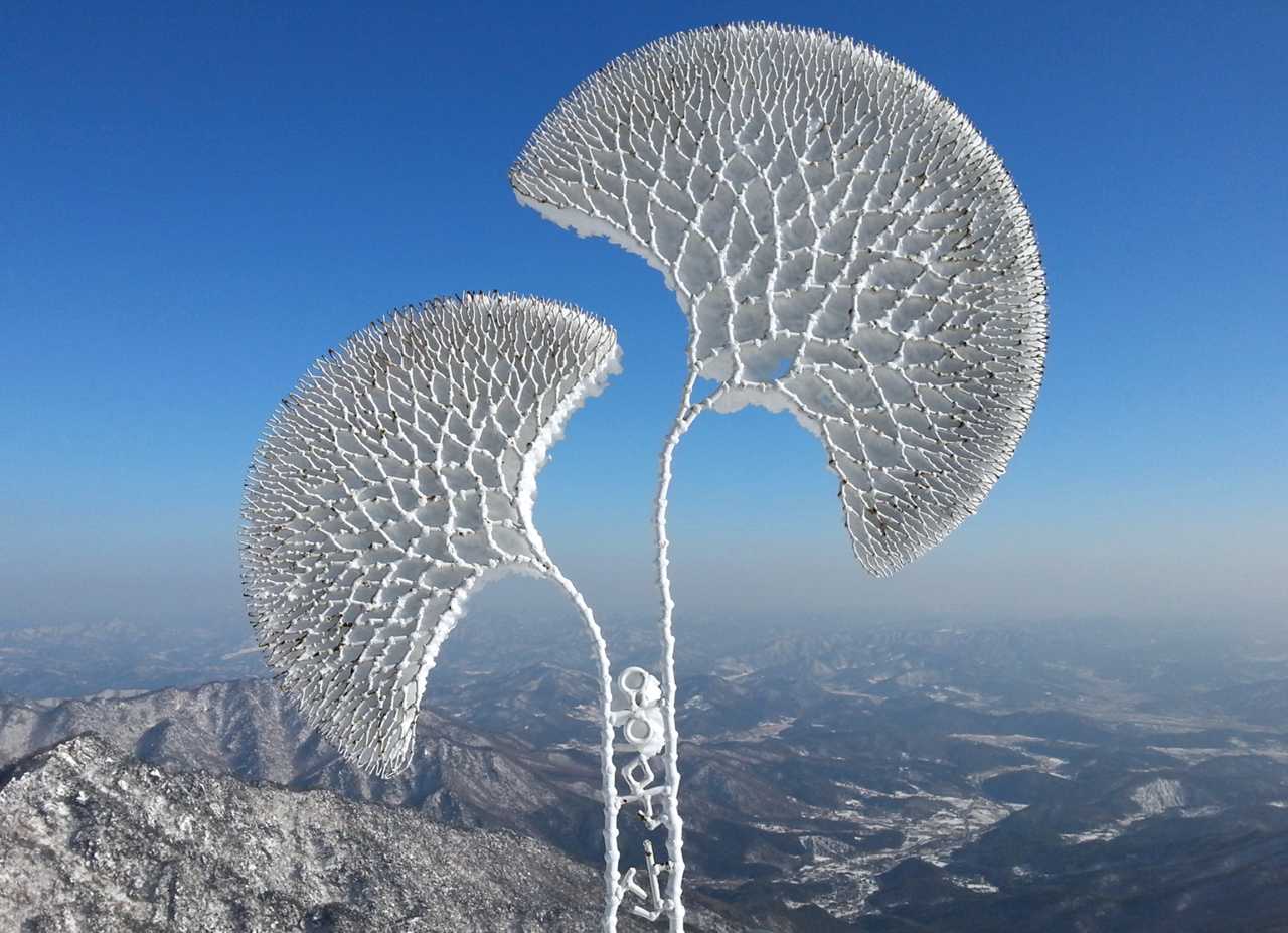 해발 1,157m의 용문산
