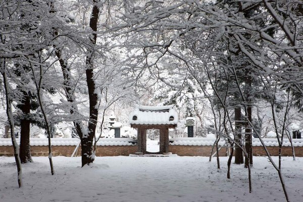 선운사 설경
