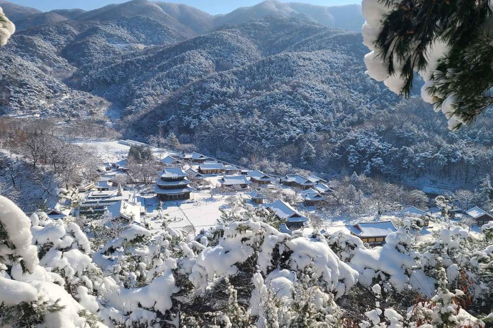 금산사 설경 / 사진=한국관광공사 포토코리아@지대현
