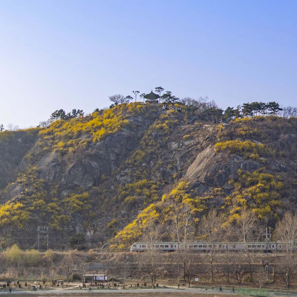 응봉산 팔각정 / 사진=서울관광재단