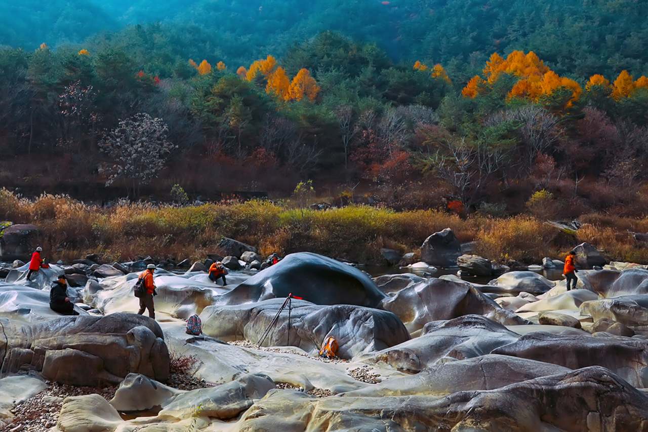 편안합니다 / 사진=강원관광@길정희
