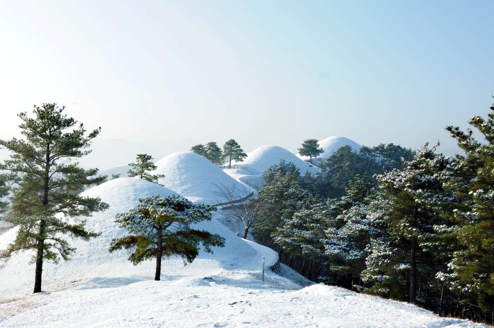 지산동 고분군 / 사진=공공누리@경상북도 고령군