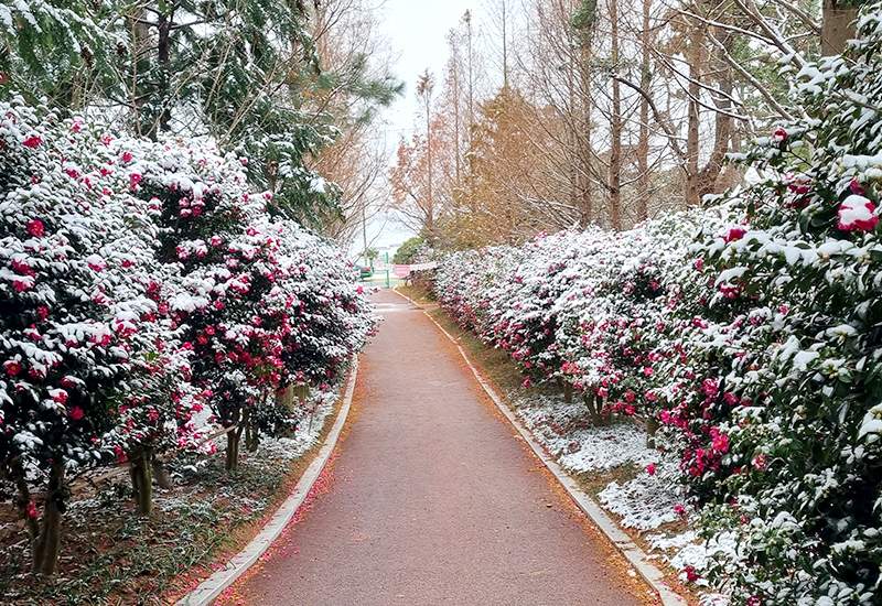 산뜻한 겨울정원 / 사진=신안군