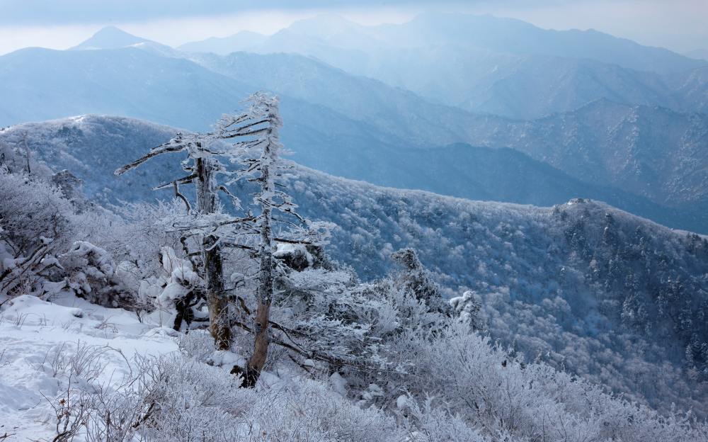 무주 덕유산 / 사진=전라북도청