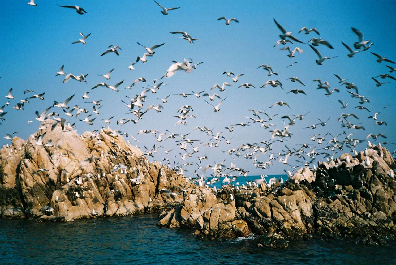 문무대왕릉 / 사진=경주시 관광자원 영상이미지 장려상 이경미